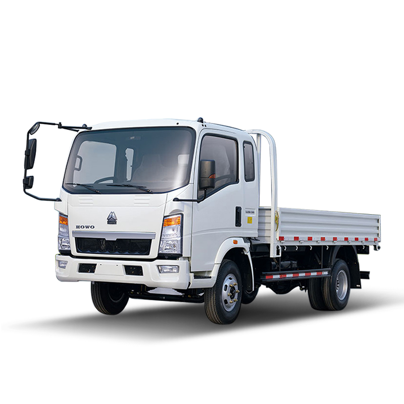 Howo 4X2 Light Cargo Truck